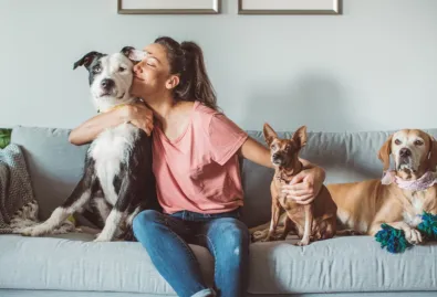 zwierzęta i kobieta na kanapie 